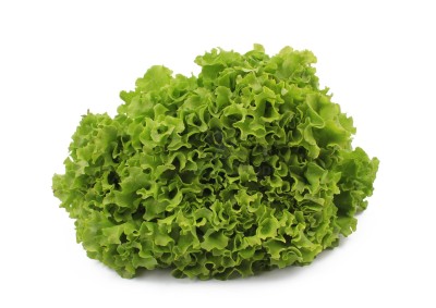 Салат романо 1 кг - купить в Боре